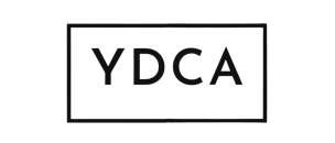 Young Data Centre Association