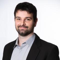 Ricardo Scherer Perlin